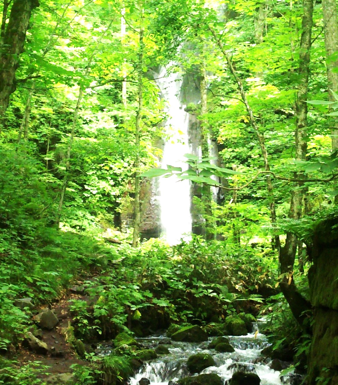 奥入瀬渓流画像